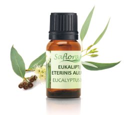 Eucalyptus-oil-twig