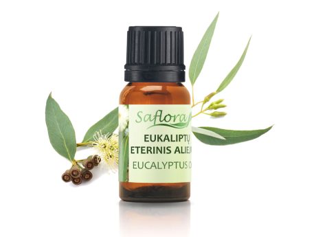 Eucalyptus-oil-twig