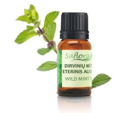 Wild-mint-oil-herb