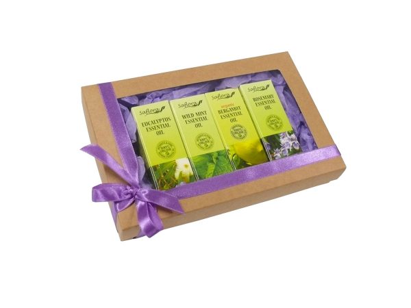 Fresh and healthy essential oil gift set